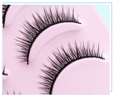 Eye Lashes Makeup