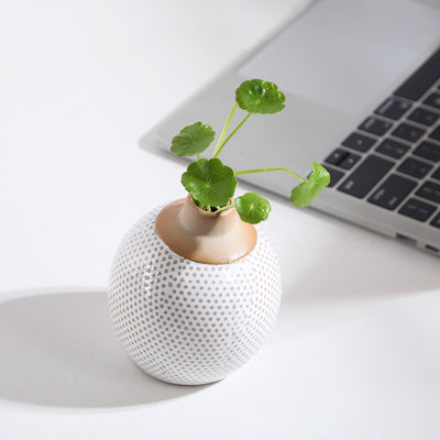 Decoration Ceramic Aromatherapy Bottles